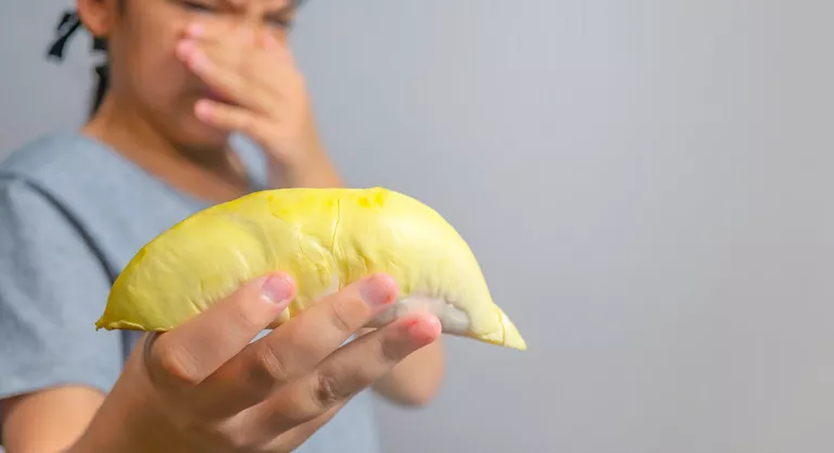 Durian, la fruta tropical más apestosa