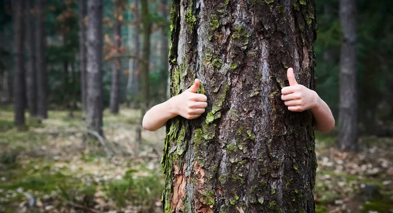 Beneficios de la naturaleza para los niños