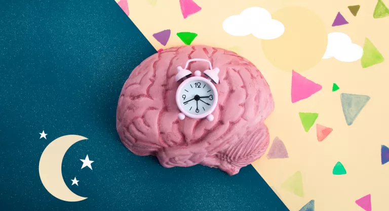 Cerebro afectado por el efecto del sueño segmentado