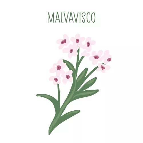 Ilustración del malvavisco