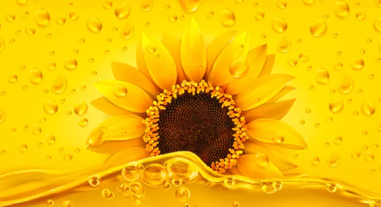 Aceite de girasol, propiedades y alternativas más saludables