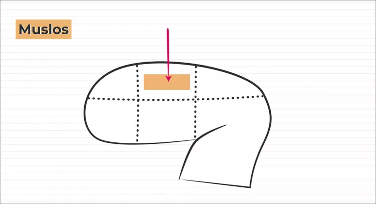 Inyección intramuscular en muslos