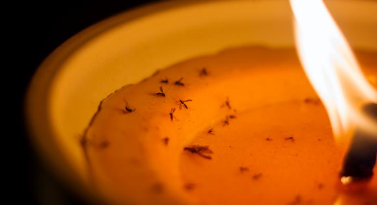 Vela de citronela para repeler a los mosquitos