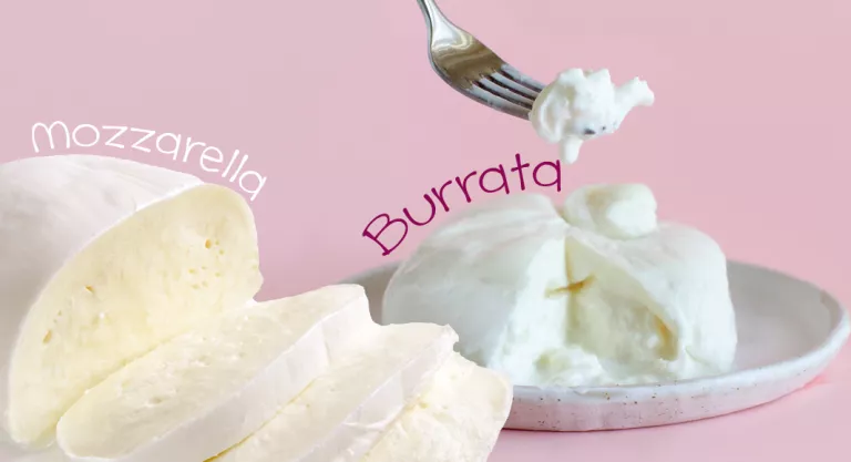 Porción de queso mozarrella y de queso burrata