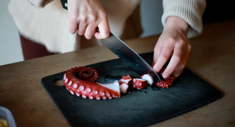 Cómo cocinar una pata de pulpo