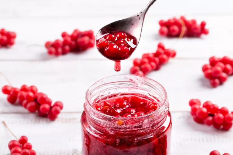 Schisandra, qué es, beneficios para la salud, y cómo se toma Schisandra, qué es, beneficios para la salud, y cómo se toma