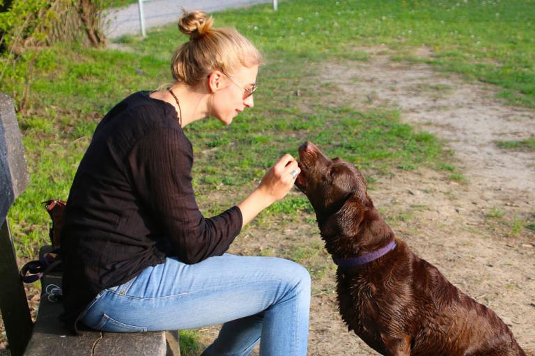 Chica dando una chuchería a su perro