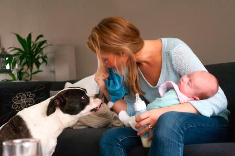 Una mujer atiende a su perro justo antes de dar el biberón a su bebé
