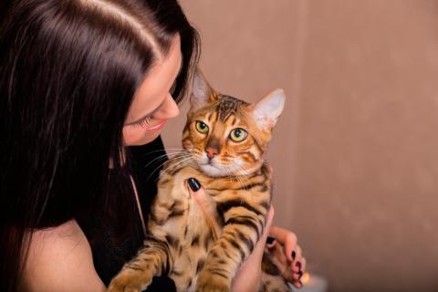 Una mujer sostiene en brazos a su gato de Bengala
