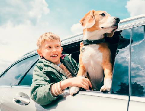 Un niño y su perro se asoman desde la ventanilla de un coche