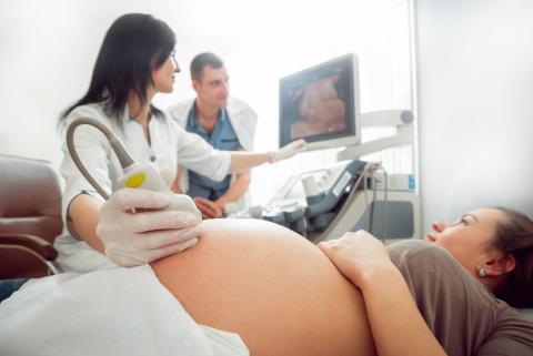  Control prenatal de la embarazada vegetariana y lactancia