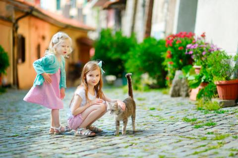 Dos niñas junto a un gato abandonado en la calle