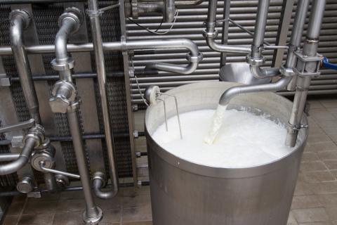 Elaboración de la leche sin lactosa