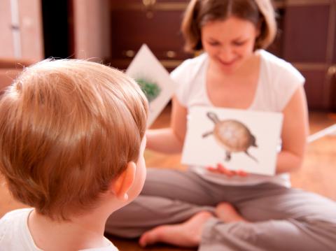 Una madre enseña a leer a su hijo con el método Doman