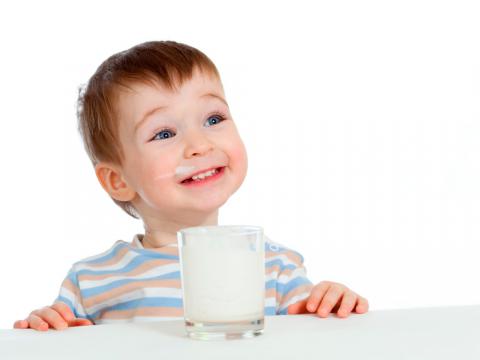 Introducción de la leche de vaca en bebés