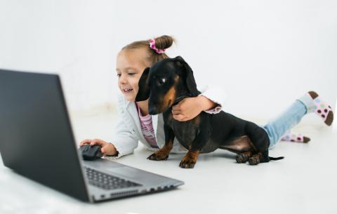 Adoptar una mascota a través de Internet