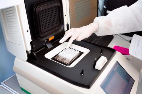 Cómo se hace una PCR en el laboratorio
