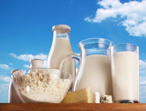 Alimentos para la prevención de la osteoporosis