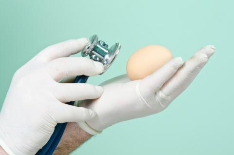 Cómo evitar la salmonelosis por huevo