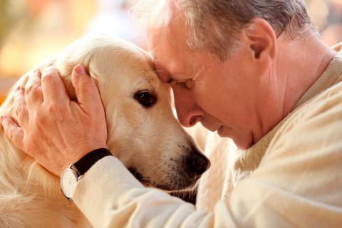 Perro con Alzhéimer canino y su dueño