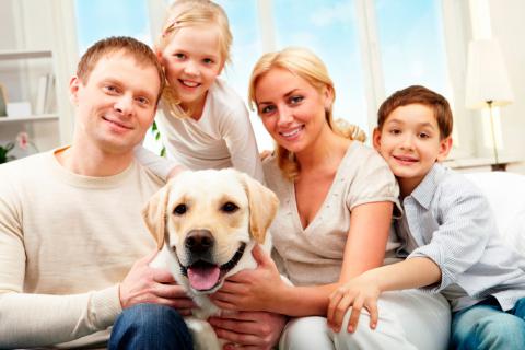 Familia de un cachorro de perro de asistencia