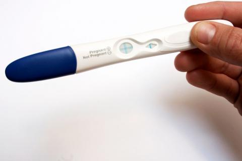 Prueba o test de embarazo