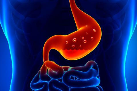 Tipo de gastritis crónica