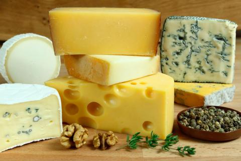 Tipos de queso variados