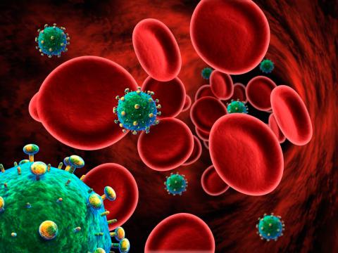 Virus Inmunodeficiencia Humana (VIH) al microscopio