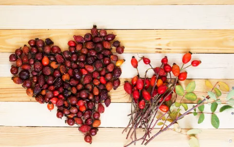 Corazón hecho con escaramujos