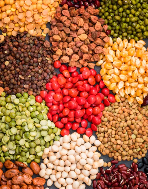 Alimentos con cobre Cobre en la dieta
