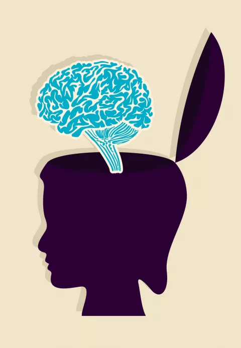 problemas cognitivos asociados al cáncer de mama
