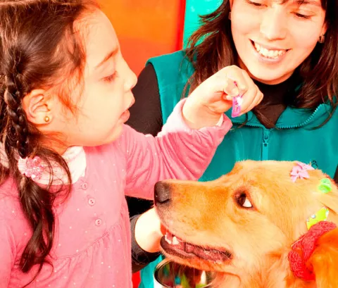 Niña siguiendo terapias con animales para el autismo