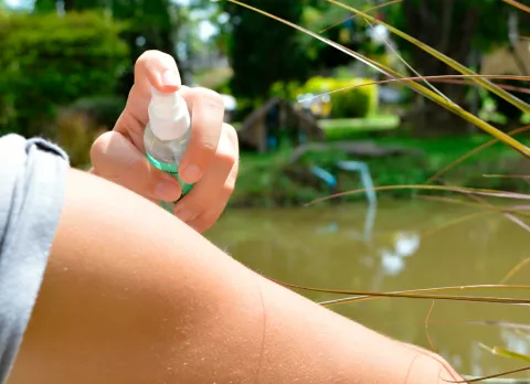 Persona aplicándose citronela como repelente de mosquitos