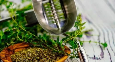 Ajedrea, aromática, digestiva y estimulante Planta de ajedrea