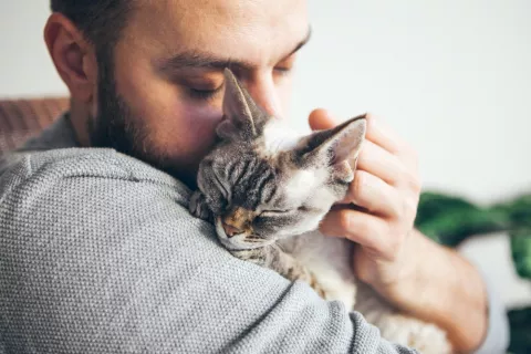 En ronroneo de los gatos calma el estrés y la tristeza Hombre triste acaricia a un gato que ronronea