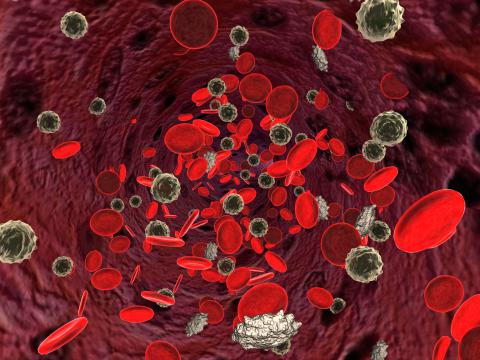 Adaptación del cuerpo a la anemia