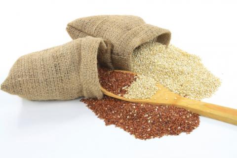 Composición nutricional y beneficios de la quinoa