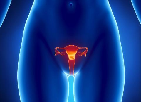 Histerosalpingografía, salud en el útero