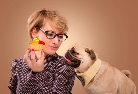 Un perro se inclina hacia un pastel que sostiene su dueña en la mano