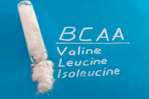 BCAAs: aminoácidos de cadena ramificada