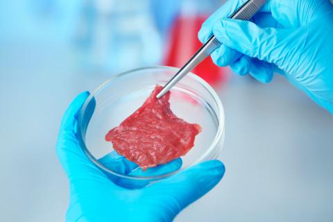 Carne artificial creada en laboratorios