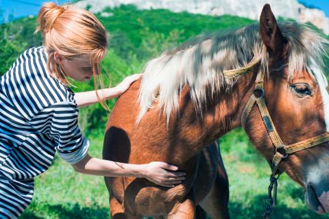 Mujer acariciando a un caballo con cólico equino