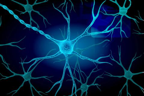 Neuronas motoras afectadas por esclerosis lateral amiotrófica