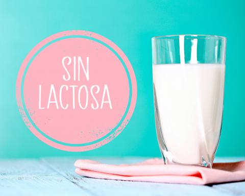 Resultado de imagen de leches sin lactosa