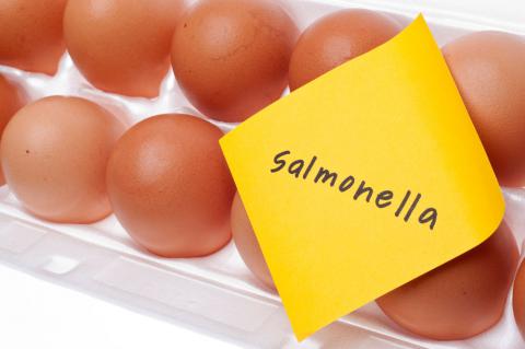 Infección por Salmonella