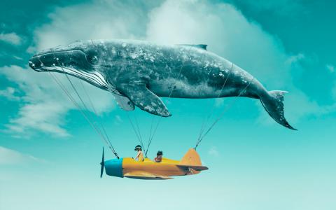 Persona soñadora montada en globo con forma de ballena