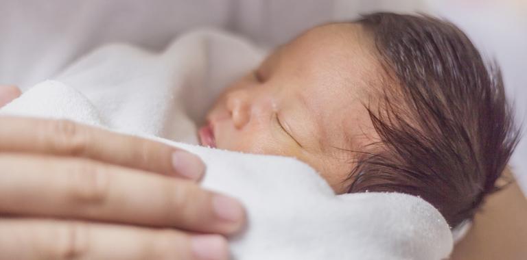 El microbioma materno para el desarrollo de la placenta y el feto
