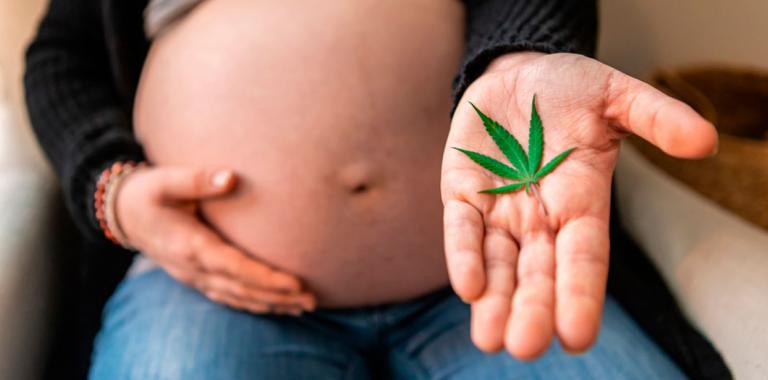 Mujer embarazada mostrando una hoja de cannabis