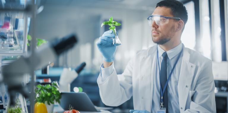 Científico estudiando una planta en el laboratorio
